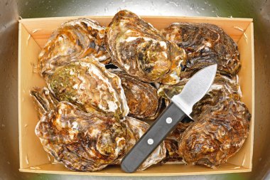 İstiridye ve Shucker