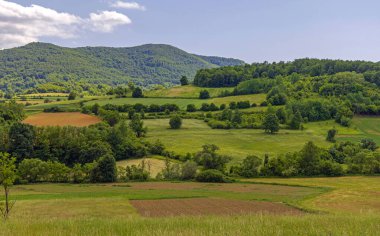 Batı Sırbistan 'da Bahar Gününde Yeşil Alan ve Tepeler Doğa Manzarası