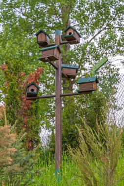 Green Park 'taki Tahta Direk' teki Çoklu Kuş Evleri