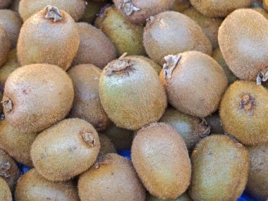 Londra 'daki Çiftçi Pazarı' nda Büyük Kivi Meyvesi