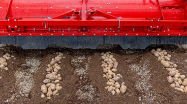 Patates Tarlası Tarlası Tarlası Toprak Tarlası Tarım Makinesi