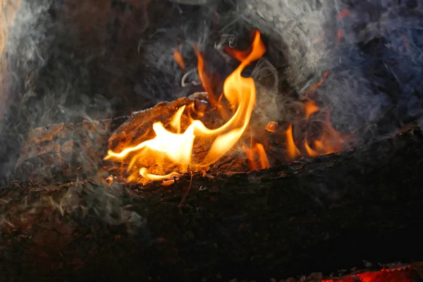 Feuer aus nächster Nähe — Stockfoto