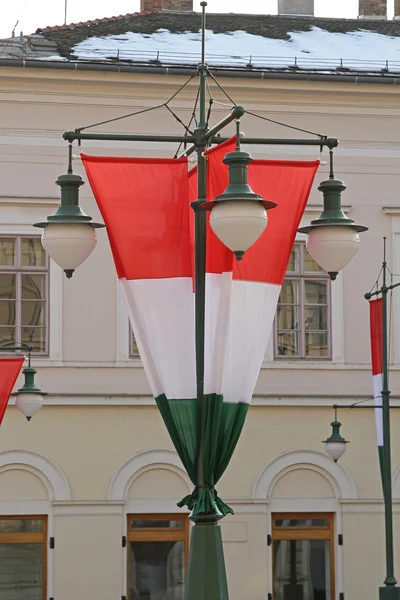 Magyar zászló függőleges — Stock Fotó