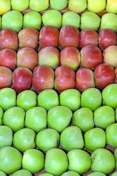 Pommes vertes et rouges — Photo