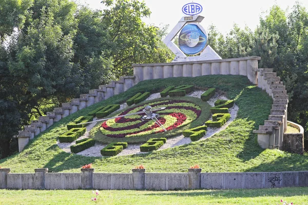 Bloemen klok Timisoara — Stockfoto