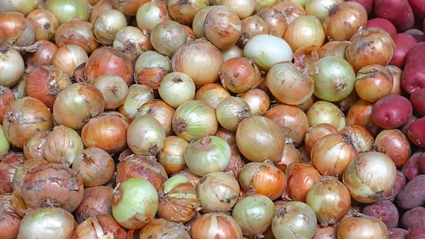 Bunch of Onions — Stock Photo, Image