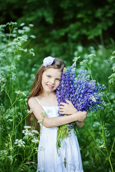 Beautiful girl with lupines Stock Image