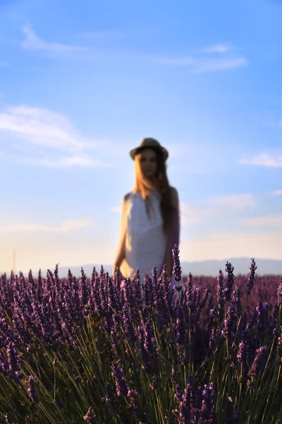 Hinter Lavendel stehen — Stockfoto