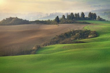 Baharda Toskana 'nın yuvarlanan tepeleri.