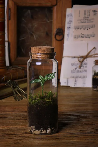 Mini Glazen Terrarium Pot Een Vintage Setting Tussen Boeken Sleutels — Stockfoto