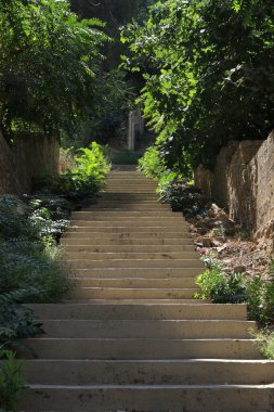Her iki taraftaki yemyeşil alandan yükselen uzun açık hava merdivenleri güçlü bir derinlik ve perspektif hissi yaratıyor..