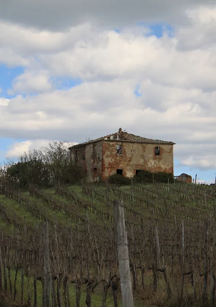 Uma Velha Arruinada Casa Vinha Toscana — Fotografia de Stock
