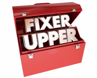 Fixer Üst Meclis 