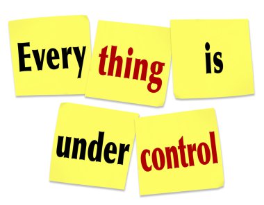 Everything is Under Control Sticky Notes Saying Message clipart