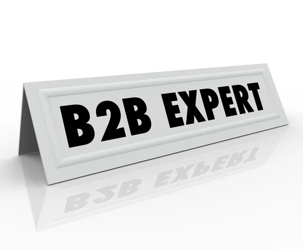 B2B expert talare presentatör namnet tag panelmedlem dela information: — Stockfoto