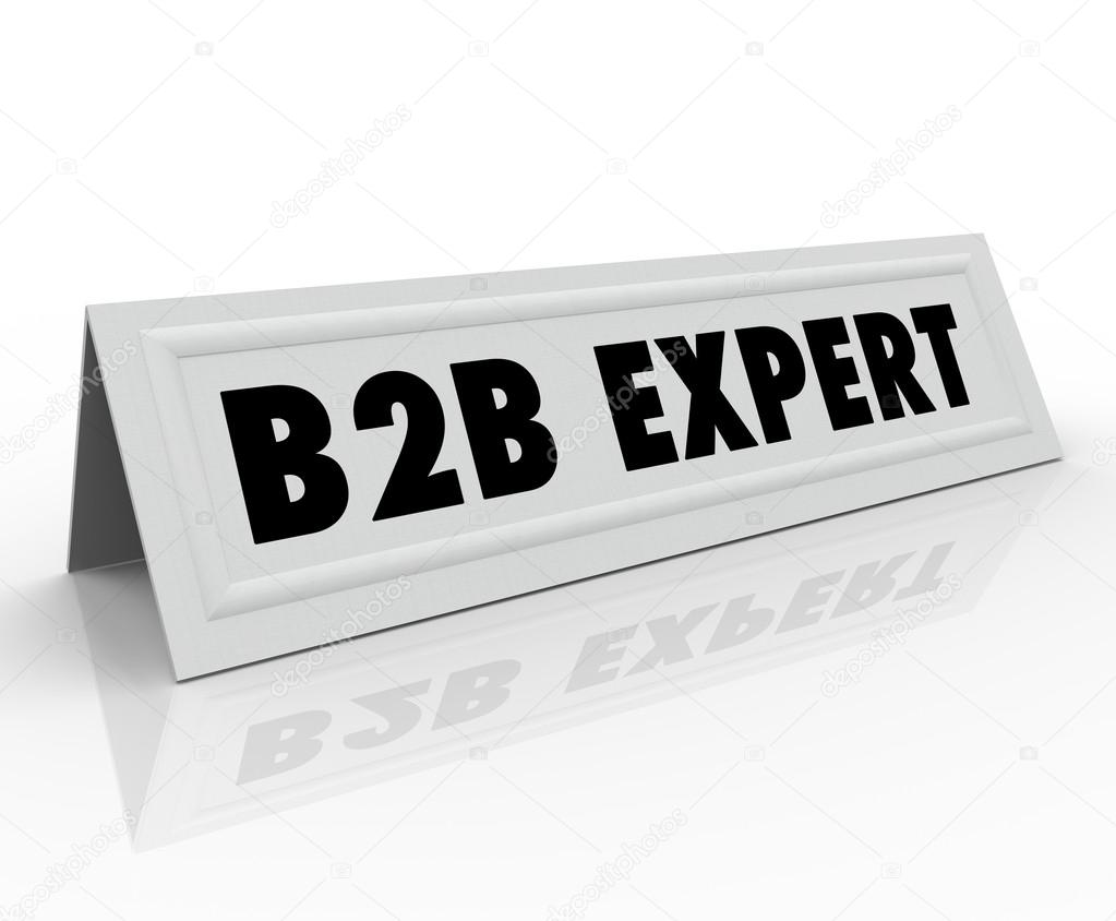 B2B Expert Speaker Presenter Name Tag Panelist Sharing Informati
