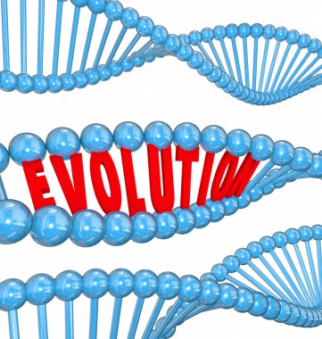 Dna iplikçik aile atalarının genlerinin evrim Word mektuplar