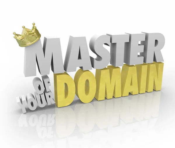 Master Your Domain słowa w 3d litery — Zdjęcie stockowe