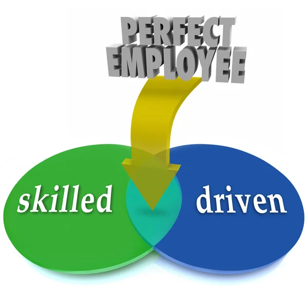 Perfect Employee Venn Diagram Skilled Driven Workers Personnel — Stock Photo, Image