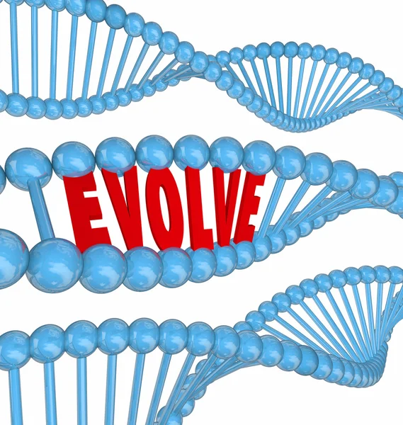 Evolve DNA Word — Zdjęcie stockowe