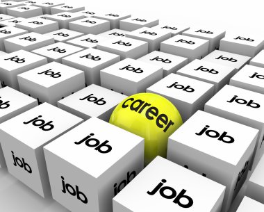 Career Vs Job  Sphere Cubes