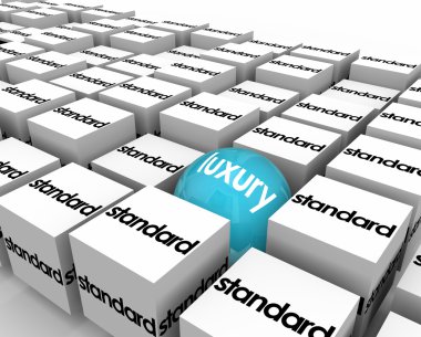 Luxury Vs Standard Equipment