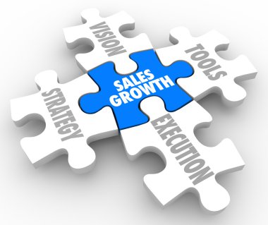 Sales Growth Puzzle