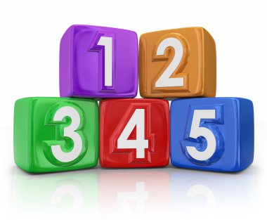 5 beş ilke öğeleri