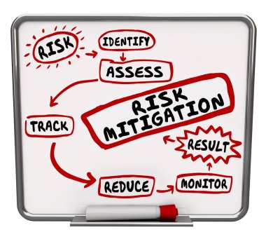 Risk Mitigation Process System