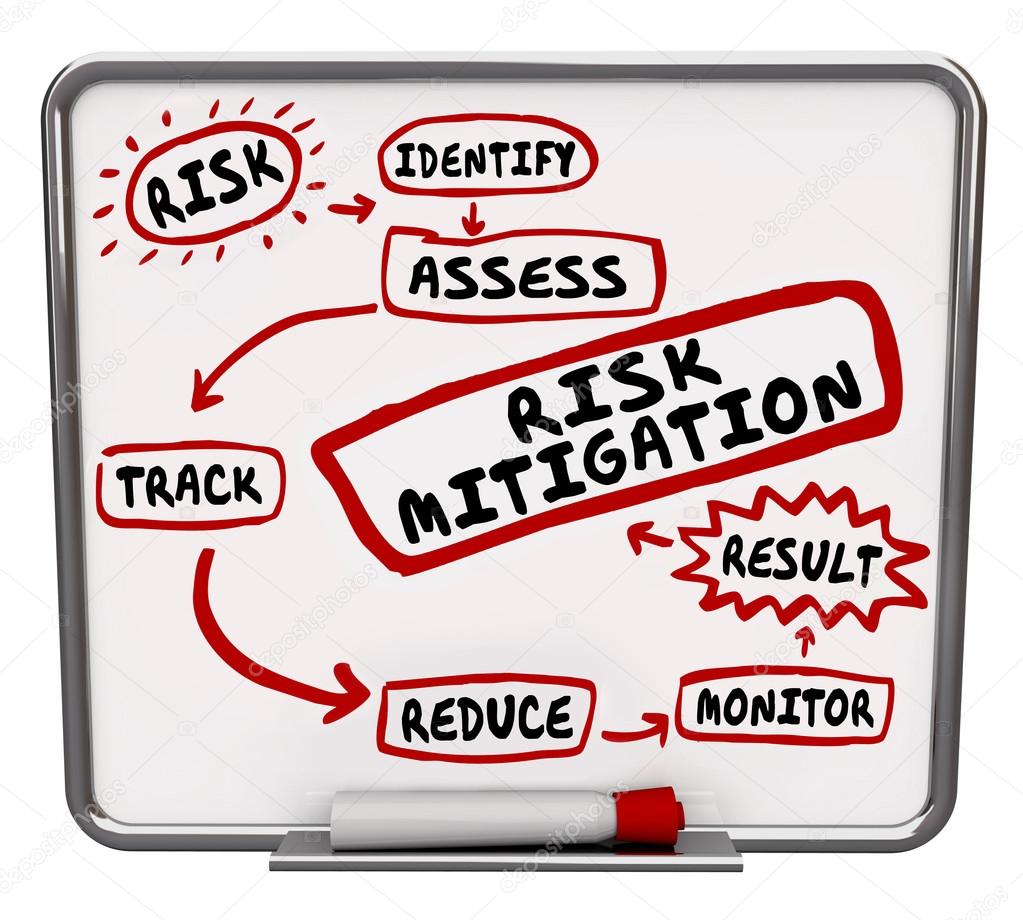 Risk Mitigation Process System