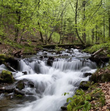 Karpat Dağları nehirde küçük hızlı Kanyon