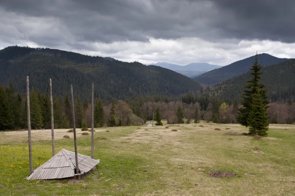 Carpathian mountain pasture — Stock Photo, Image