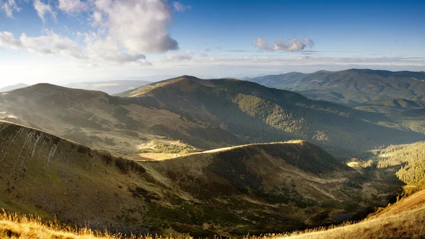 Carpathian mountains covered by forest — Stock Photo, Image