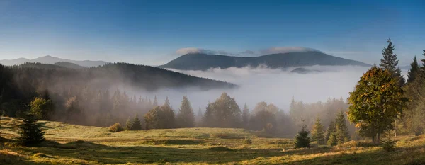 Podzimní ráno v Karpatských horách — Stock fotografie