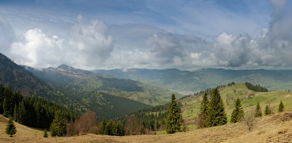 Valle montañoso de los Cárpatos durante la primavera — Foto de Stock