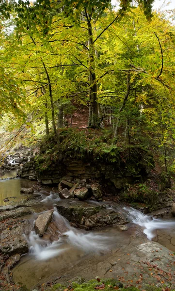 Rifa del río de montaña de los Cárpatos en un bosque — Foto de Stock