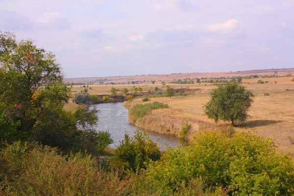 Kırsal manzara. Orman-bozkır — Stok fotoğraf