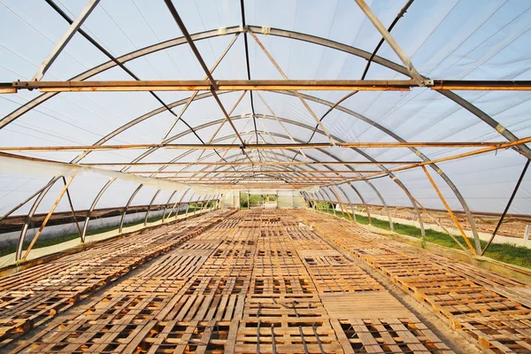 Greenhouse with pallets — Stock Photo, Image