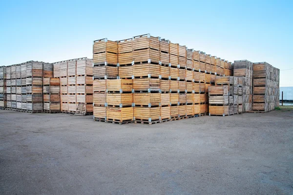 Ahşap kutuları açık havada