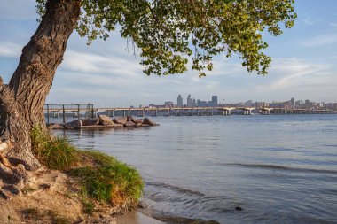 Dnepropetrovsk, şehrin panoraması, Dinyeper kıyısındaki merkez ve merkez köprü, ön plan ağacı.