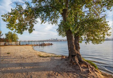 Dnepropetrovsk, şehrin panoraması, Dinyeper kıyısındaki merkez ve merkez köprü, ön plan ağacı.