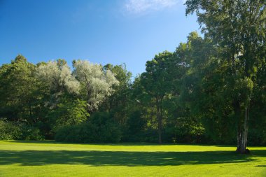 Güneşli bir günde park et.
