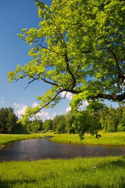 Pavlovsk Park peyzaj