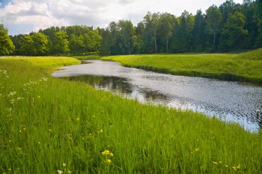 Pavlovsk Park peyzaj
