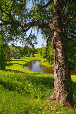 Pavlovsk Park peyzaj