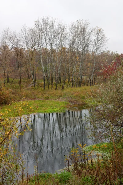 Regnig floden landskap — Stockfoto