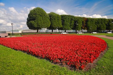 St. Petersburg, Vasilevsky Adası