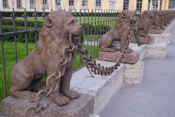 San Petersburgo, esculturas de leones — Foto de Stock