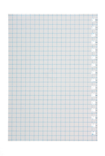 Лист в клетке
