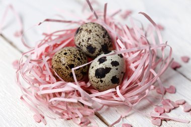 bıldırcın yumurtası